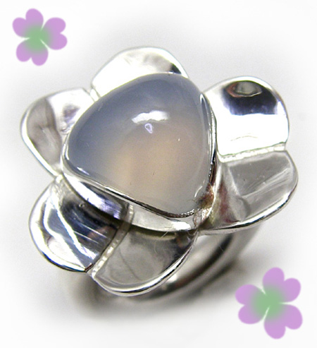 �u���[�J���Z�h�j�[�̃N���[�o�[���`�[�t�����O